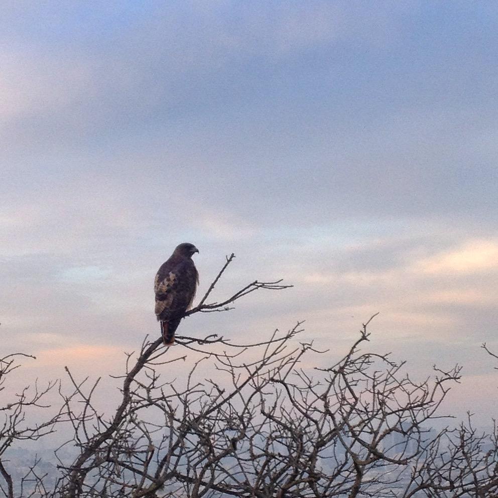 dana_t_h's profile picture. 