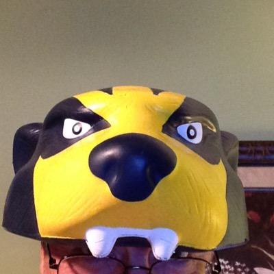 Follower of Christ because of his unending love and amazing grace! Blessed with a great family. Fan of home state Michigan Wolverines.