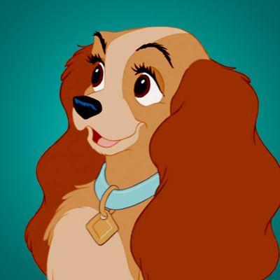 I'm Lady I live with Tramp and my wonderful pups {rp account}