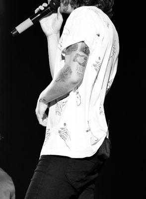 go follow @bulgingharry for a 100% followback