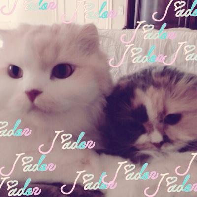 scsp_6's profile picture. みるふぃーゆ