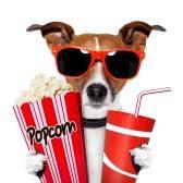 Conoce todas las novedades de películas, series y televisión en nuestra página de facebook: ¿Qué te apetece ver hoy?