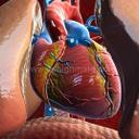 JOSEPH OJILE - @OJILEJOSEPH - Twitter