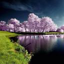 Evangeline Rice - @evangel38017444 - Twitter