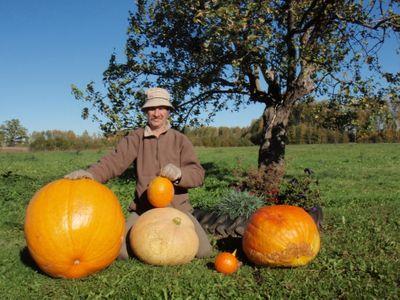 janisturks's profile picture. 