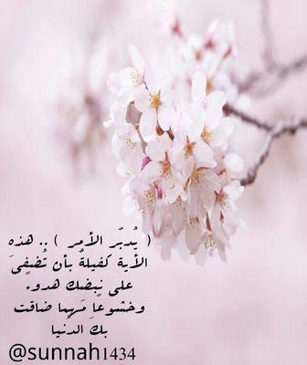 ‏‏‏اللهم أعوذ بك من زوال نعمتك وفجاءة نقمتك وتحول عافيتك وجميع سخطك .. والخاص مغلق ... تغريداتي في المفضلة .. ♥