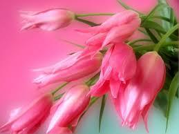 mobile_sanook's profile picture. 