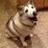 mcspraker's profile image