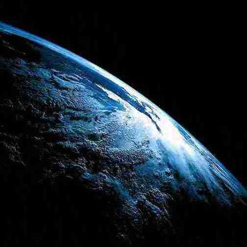 LastofUsGlobal's profile picture. 