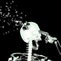 Hannibal's Nips (@hannibalsnips) 's Twitter Profile