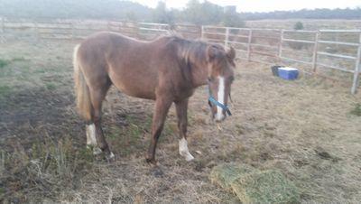 Huontheking's profile picture. hi