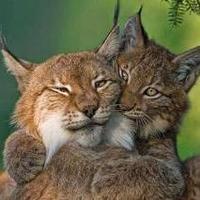 Emily Mar (@foundriches) 's Twitter Profile