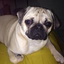 Elizabeth Spinelli - @selizabethsp - Twitter