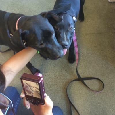 enamorate's profile picture. 