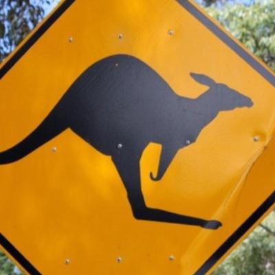 OrlandoRocks407's profile picture. 