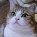 tukiji (@tukiji) Twitter profile photo tukiji (@tukiji) Twitter profile photo