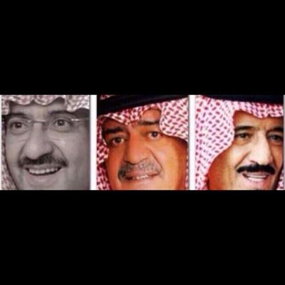 تبادل خبرات تجارية وتعاون في المشاريع - تعامل تجاري تأمين جملة تمور