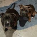 Amanda Snow - @Asnow6Snow - Twitter