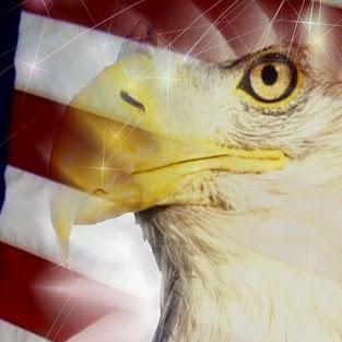 land of the free, home of ass whoopings