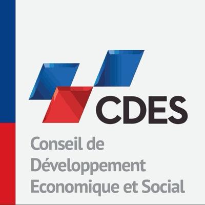 Conseil de Développement Economique et Social