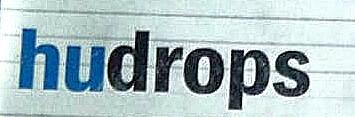 hudrops provides cross platform application development support and training.