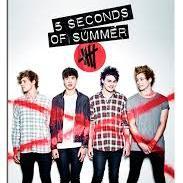I'm a huge fan of 5 Seconds of Summer and they are the best band in the whole world hahahahaha! Plus, i'm a crazy girl who loves to have fun and say rawr.