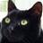 HDBADKITTY's profile image
