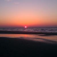 mindy (@mindyinmich) 's Twitter Profile