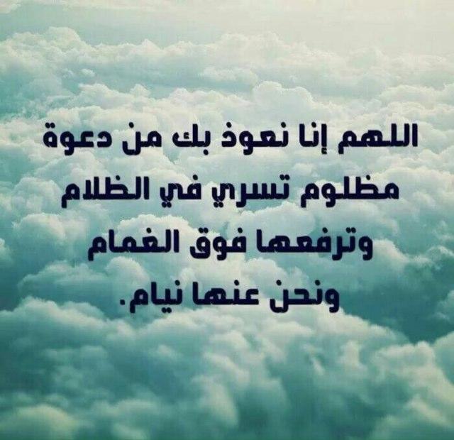 ليت ربي حط لصافي النية علامة (مكة-الشرائع) موظف بالمهد