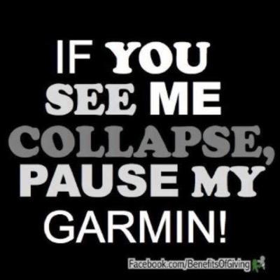 PL0GAN's profile picture. My family, my muts are my major missions. Ironman Copenhagen is the next challenge in 2020 #majormission