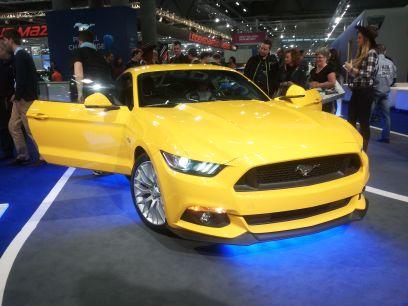 paul190203's profile picture. 