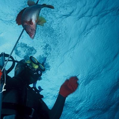 スピアフィッシング 素潜りclub Spearfisherbot Twitter