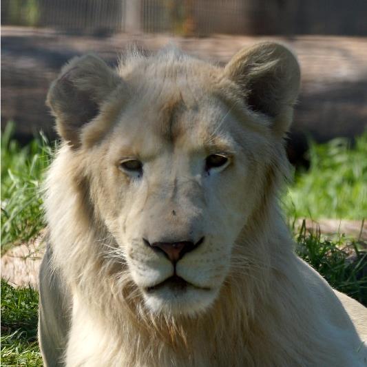 BecLee_au's profile picture. Photography is my passion!!! 
Love a wide range of TV shows and Movie types, though mostly sci fi/fantasy. Fanfic/Fanvid fan