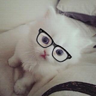 ابييک تقول كليّ لک ‏وَبنسىء كل مّ فينيُ♡♥