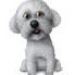 Hi! I'm #NickeytheBichon! I'm on a mission to help as many #Bichons & other #dog pals as possible. Duck jerky rocks..