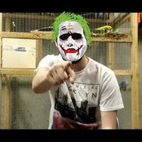 Mike Curran (@farooqapa) 's Twitter Profile