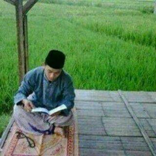 ismailysz10's profile picture. 