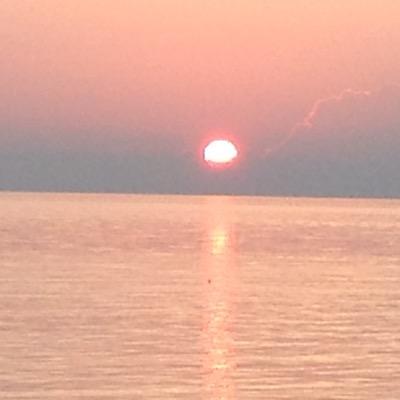 MMAUSOM's profile picture. 