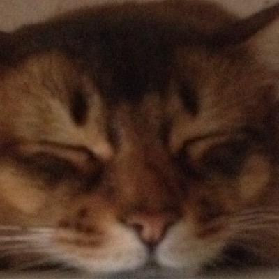 ひぃらぎ