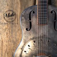 Mule Resophonic (@muleresophonic) Twitter profile photo
