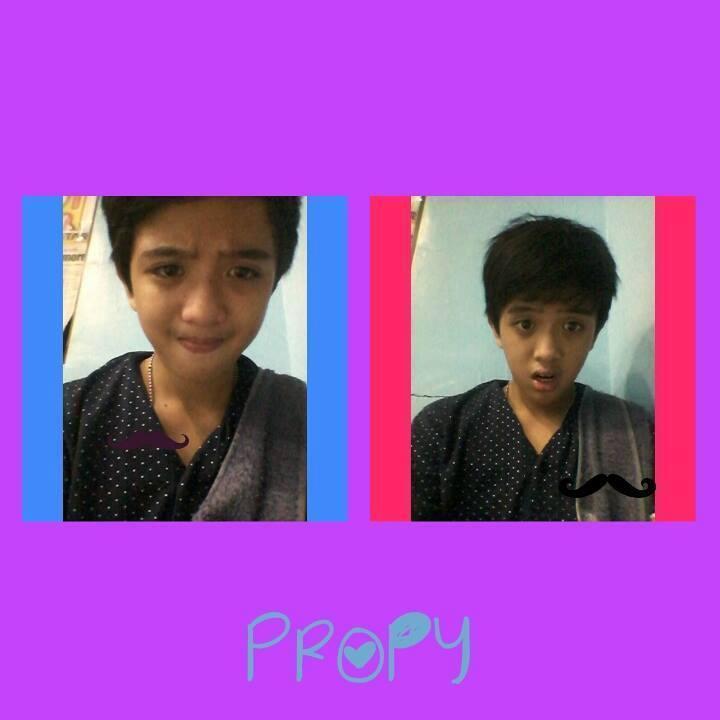 BubbleMap's profile picture. 