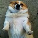 beverly ramirez - @bev__bot - Twitter