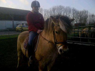 joycexenya's profile picture. Joyce
3 paardjes
love them