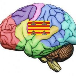 SenyEivissenc's profile picture. Per la unió electoral a Eivissa de forces  que demanen: més sobirania, defensa de la llengua catalana, protegir el territori i lluitar contra l'espoli fiscal.