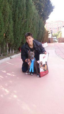 amor por mi perra.