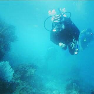 Angganailuz_'s profile picture. IT NEVER ENDS IS NOT OVER YET                           @ElmonsterNK                                                 @Naninuofficial