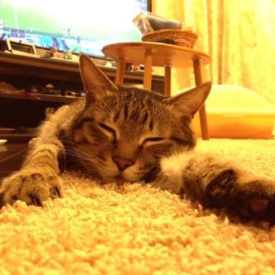 じょっぴさんのプロフィール画像