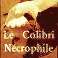 Colibri Nécrophile(@Colibrinecrofil) 's Twitter Profile Photo