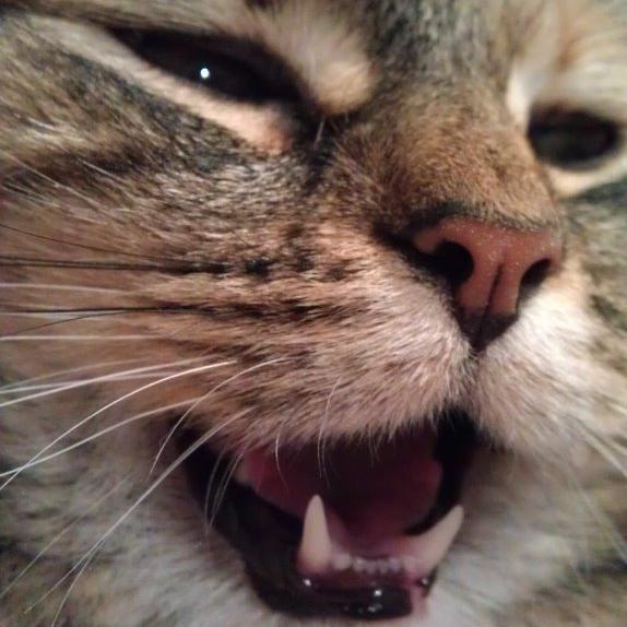 haruki0236's profile picture. 