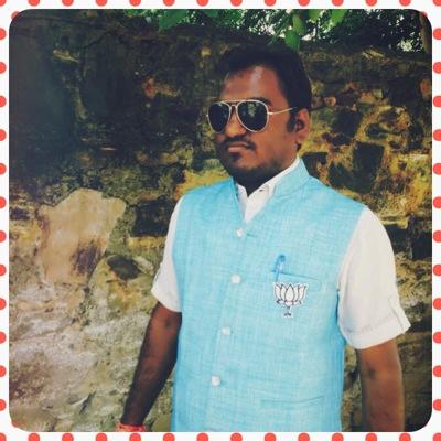 BJP UDAIPUR JILA IT TEAM MEMBER